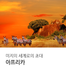 [기획전] 아프리카 기획전 2024