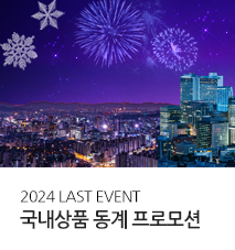 [기획전] 국내 동계 호캉스 프로모션 2024