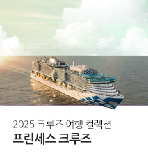 [기획전] 프린세스 크루즈 기획전 2025